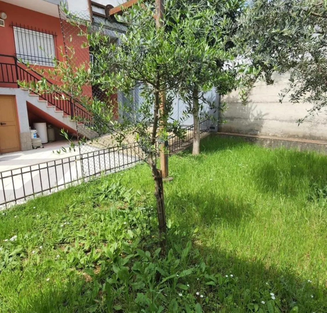 Kalpazo Tirana Vila 313