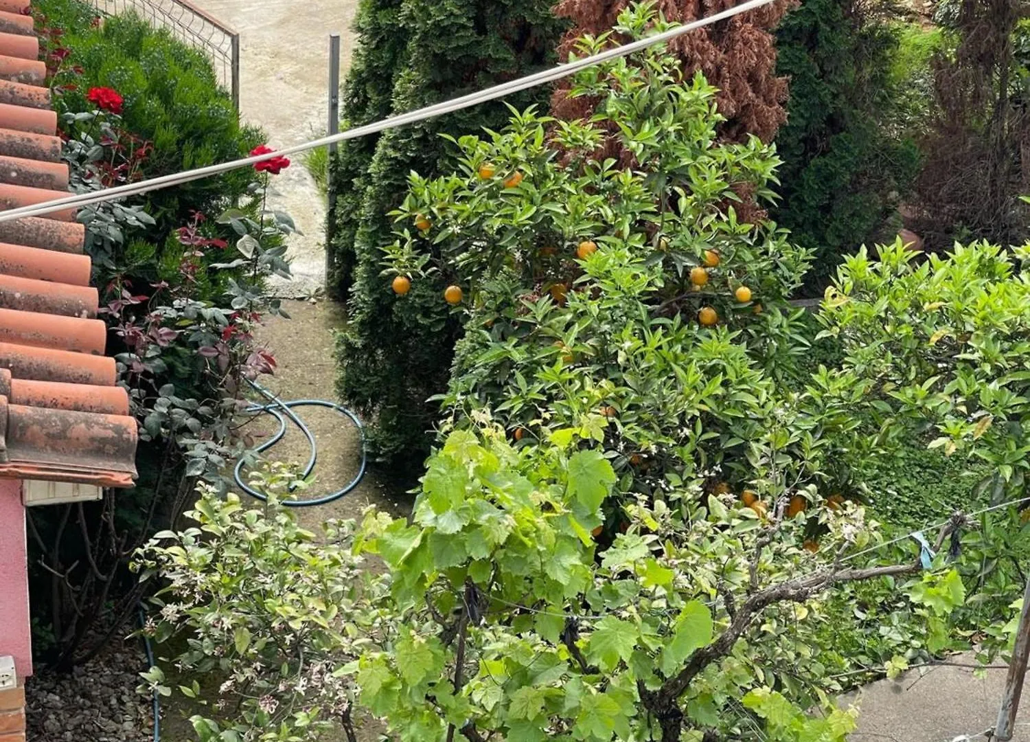 Kalpazo Tirana Vila 313 Appartement