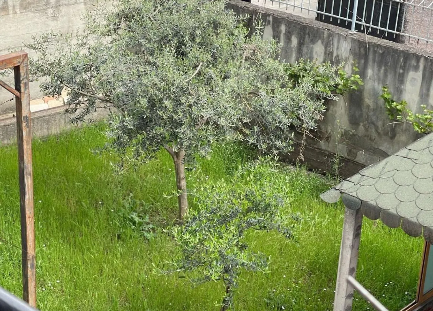 Kalpazo Tirana Vila 313