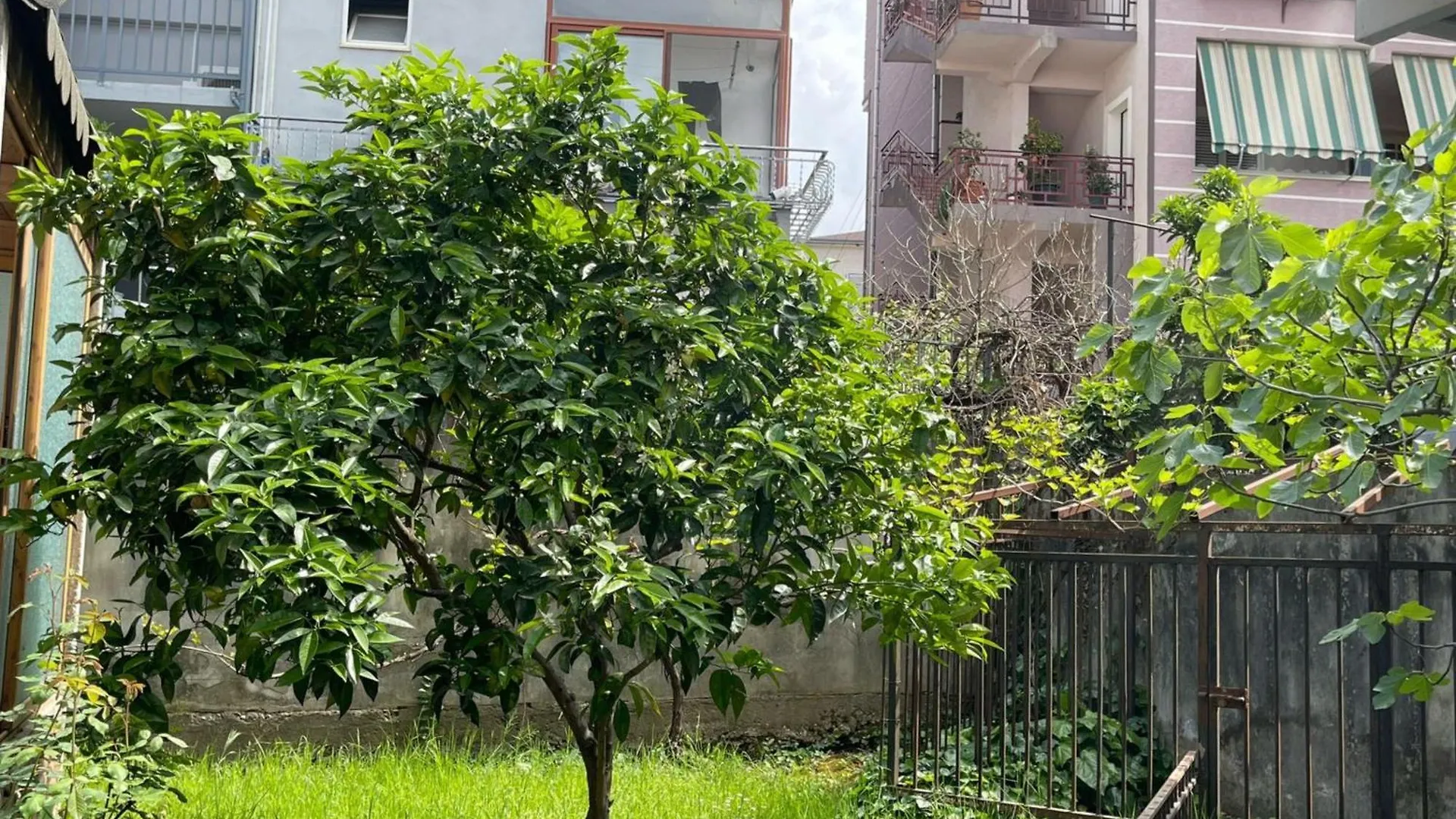 Appartement Kalpazo Tirana Vila 313 Albanië