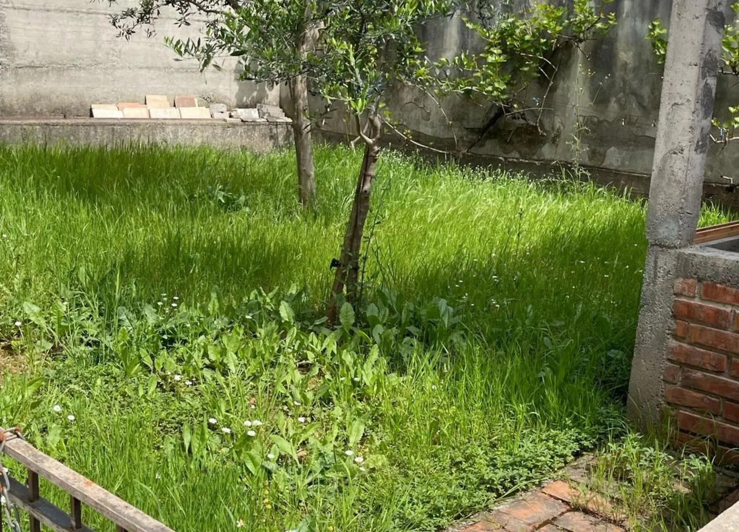 Appartement Kalpazo Tirana Vila 313