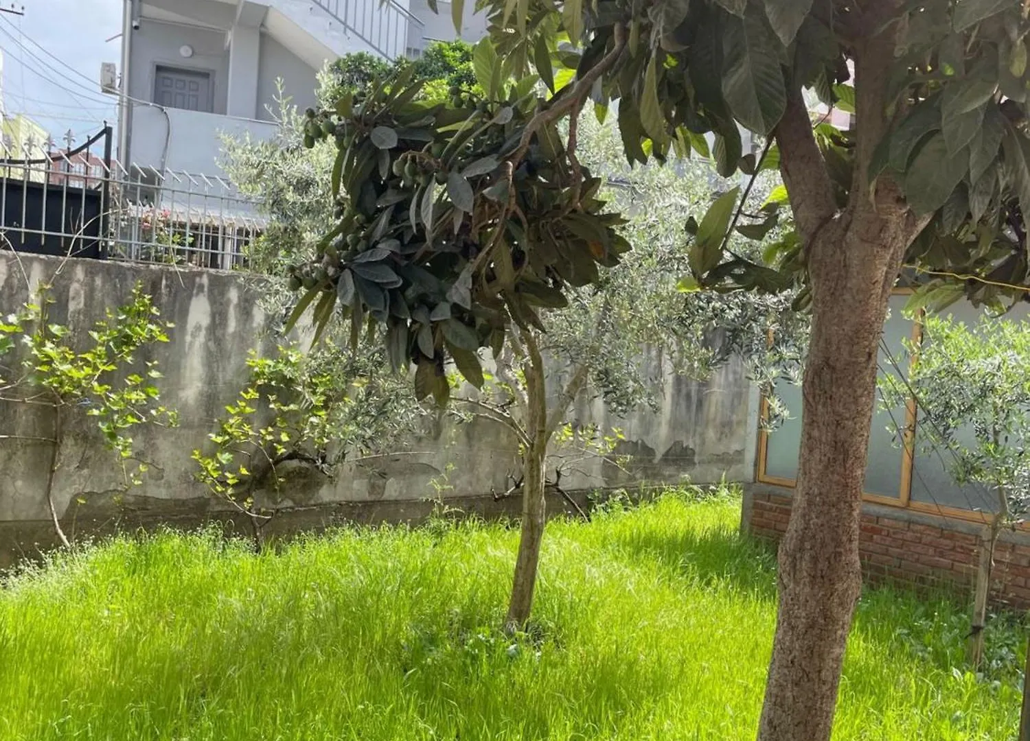 Appartement Kalpazo Tirana Vila 313 Albanië